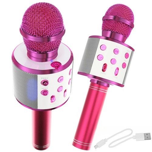 microfon karaoke - roz izoxis 22191
