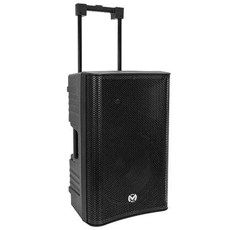 boxa portabila 12\'\'/31cm 250w rms tws cu bt/usb + 2 mic wireless